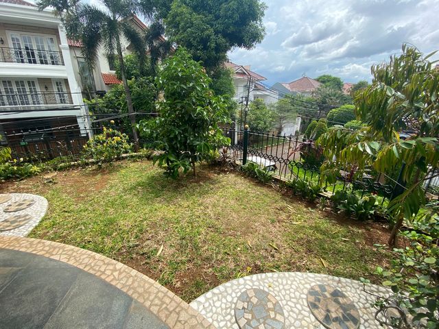place photo 17