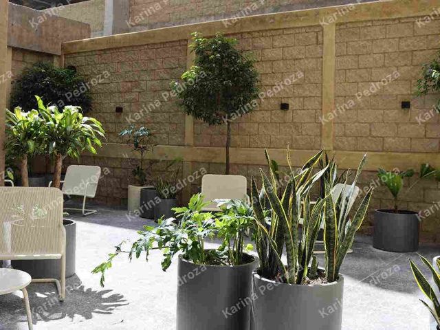 place photo 38