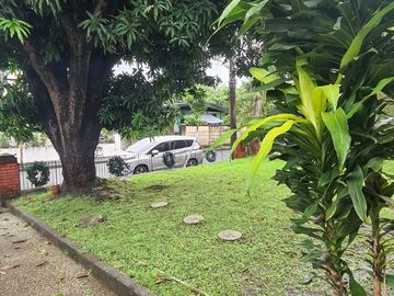 place photo 42