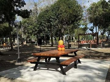place photo 59