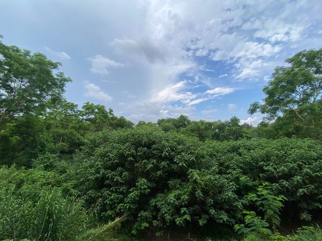 place photo 49