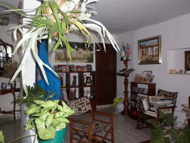 place photo 40