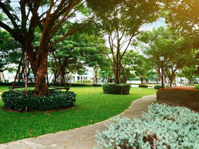place photo 42