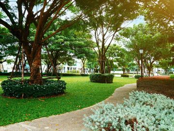 place photo 42