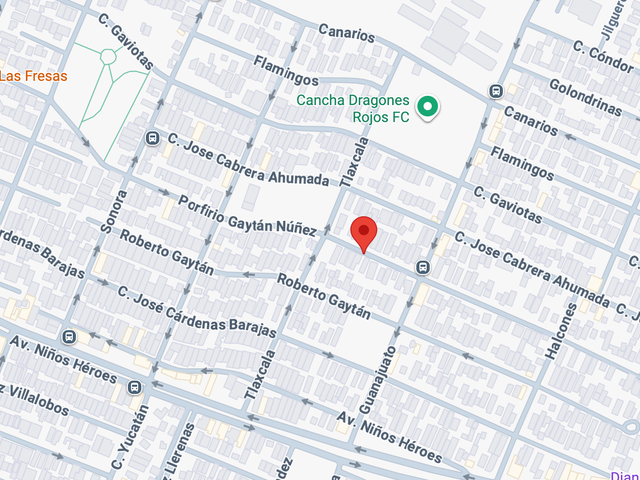 place photo 7