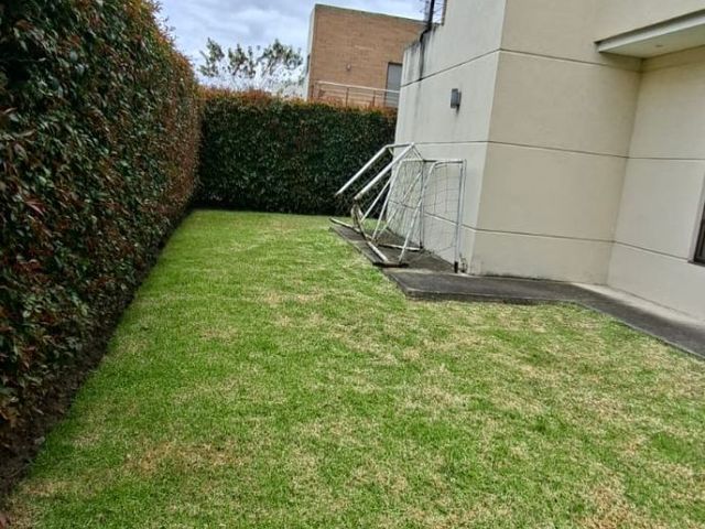 place photo 43