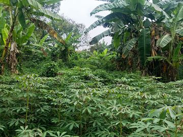 Kota BEKASI, Jawa Barat