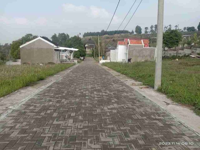 place photo 13