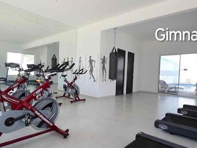 place photo 24