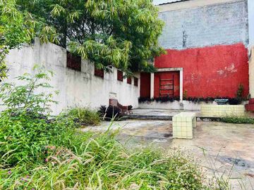 place photo 31