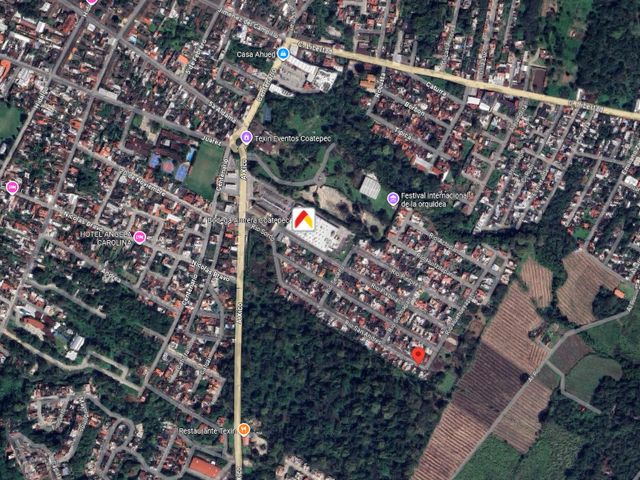 place photo 8