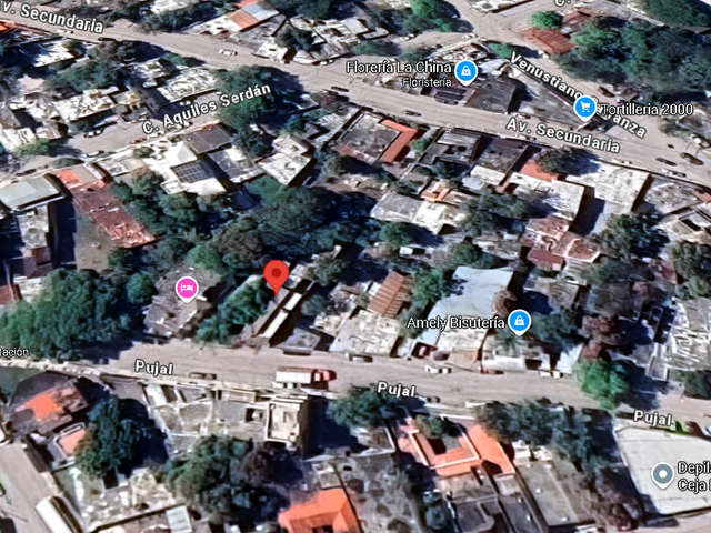 place photo 18