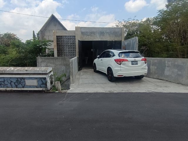 place photo 36