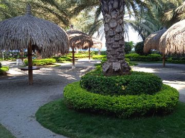 place photo 37