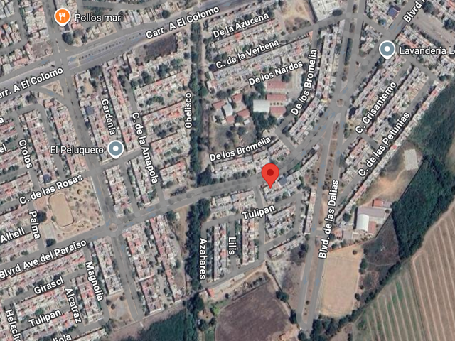 place photo 7
