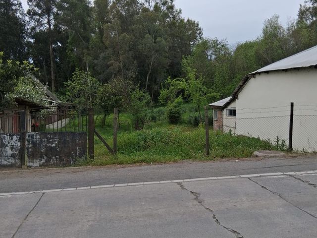 place photo 26