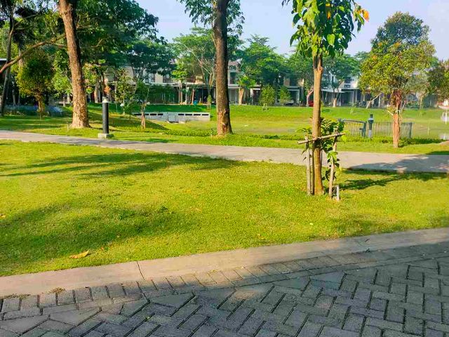 place photo 18