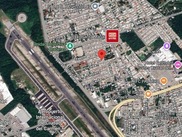 place photo 11