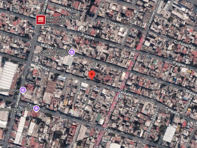 place photo 6