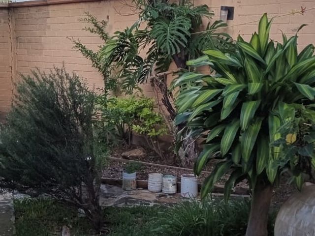 place photo 31