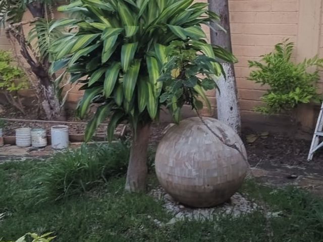 place photo 32