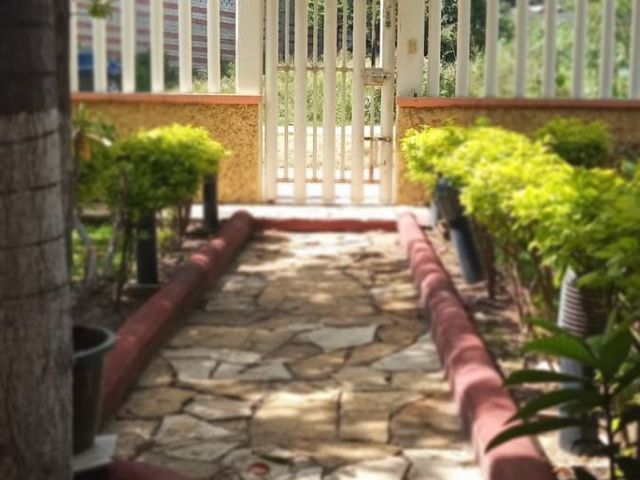 place photo 39