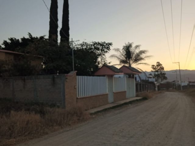 place photo 42