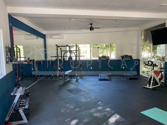 place photo 47