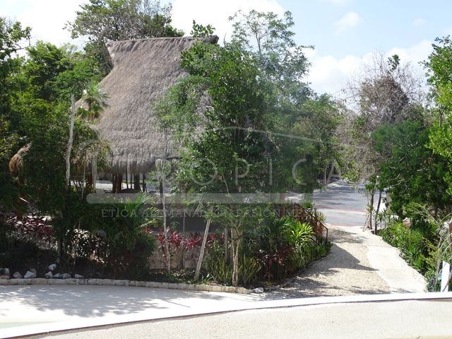 place photo 37