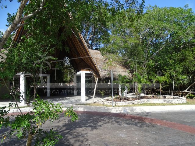 place photo 38