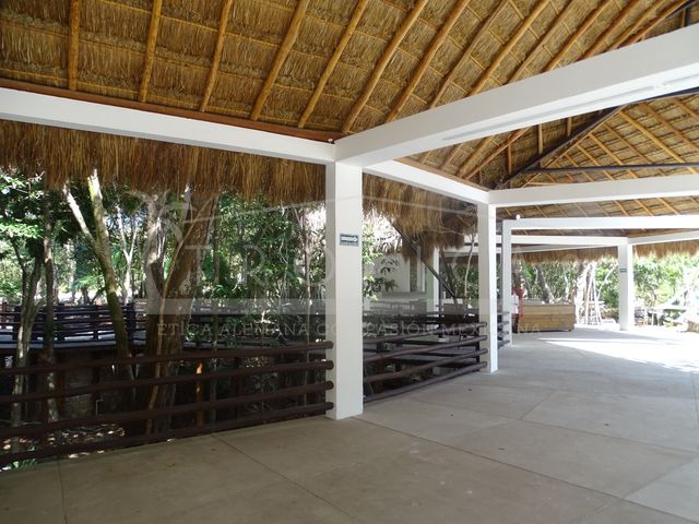 place photo 40