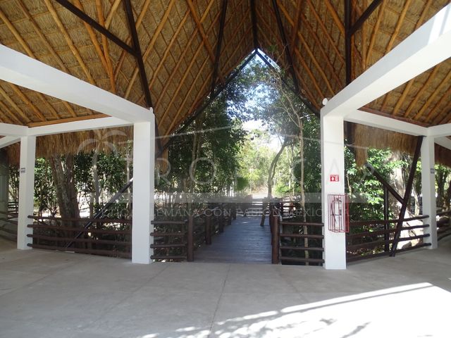 place photo 41