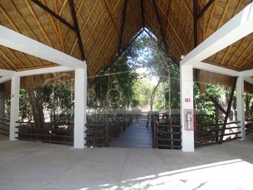 place photo 41