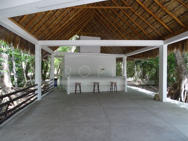place photo 42