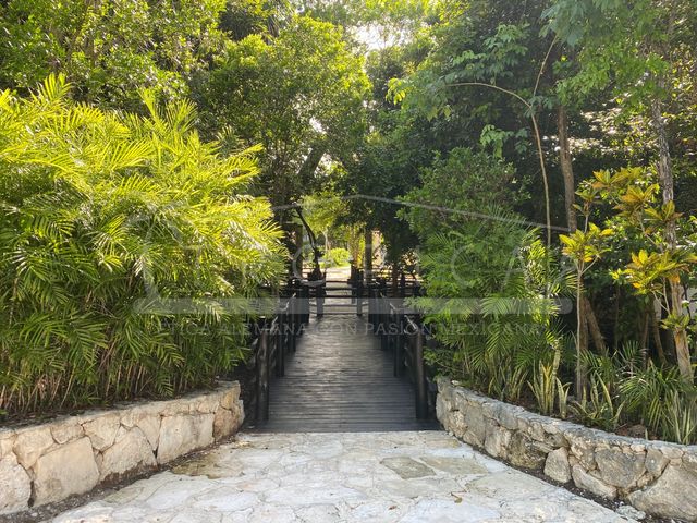 place photo 45