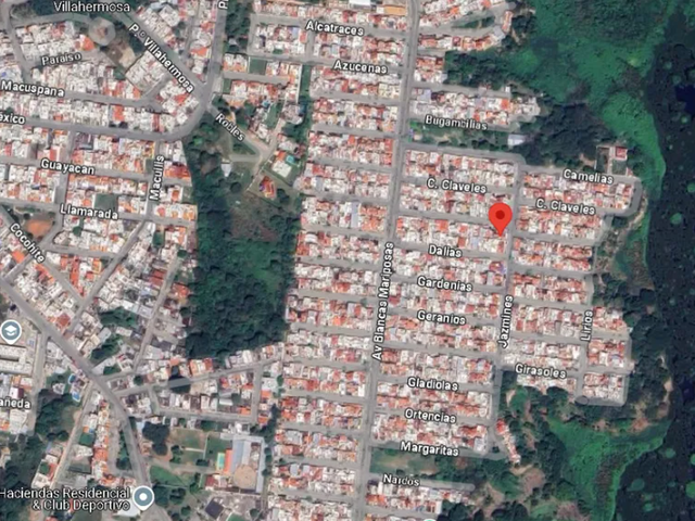 place photo 10