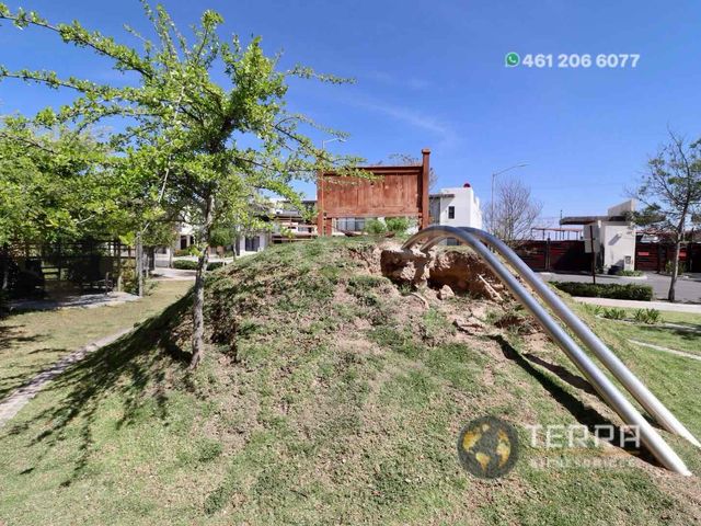 place photo 50
