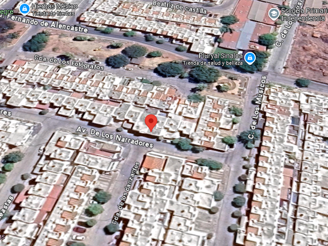 place photo 7