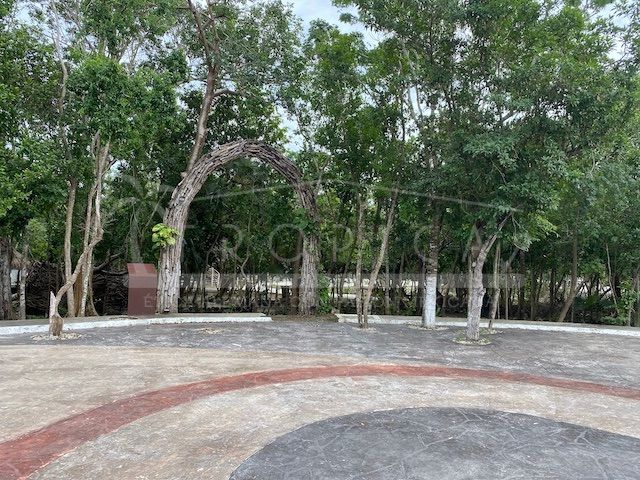 place photo 44