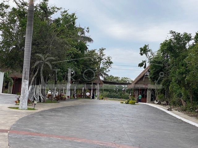 place photo 45