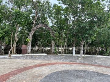 place photo 44