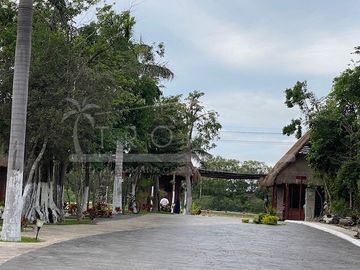 place photo 45