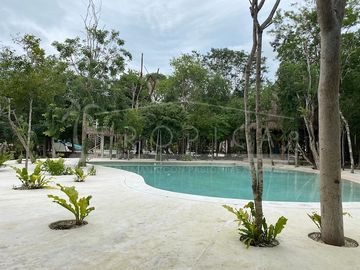place photo 38
