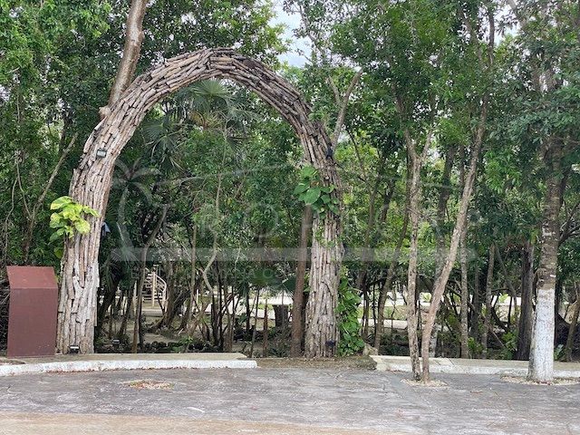 place photo 42