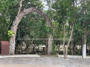 place photo 42