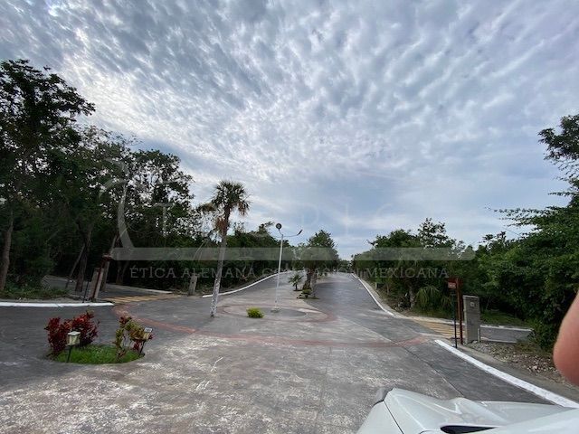 place photo 43