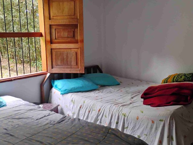 place photo 39