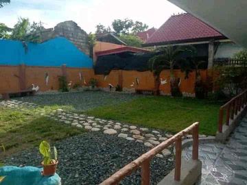 place photo 38