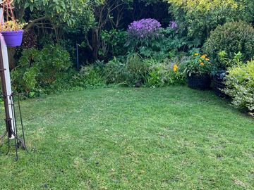 place photo 30