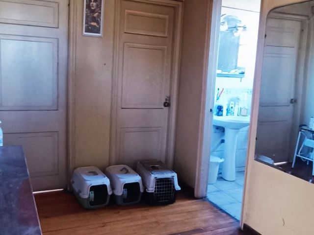 place photo 37